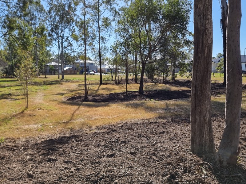 Land clearing and site leveling Jimboomba